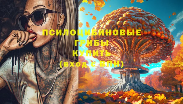 гидра Володарск