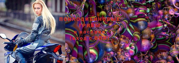 гидра Володарск