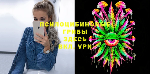 шишки Волоколамск