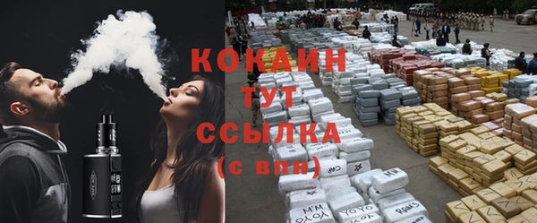 гидра Володарск