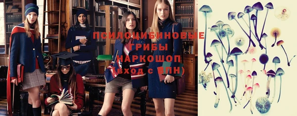 гидра Володарск