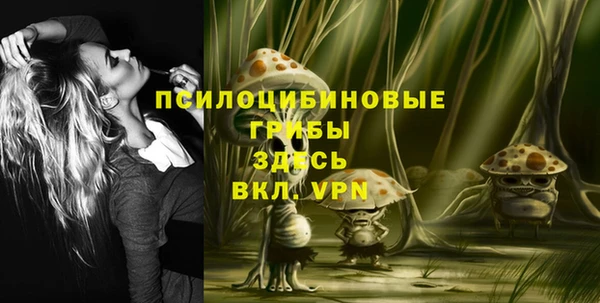 прущий лед Тайга