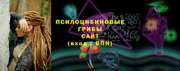 шишки Волоколамск