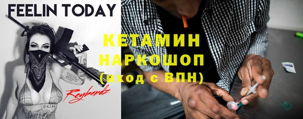 шишки Волоколамск